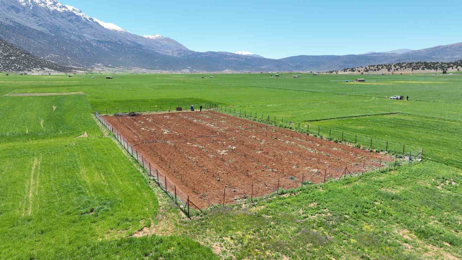 Modern tesisler ile vahşi sulama ve kayıpların &ouml;n&uuml;ne ge&ccedil;iliyor
