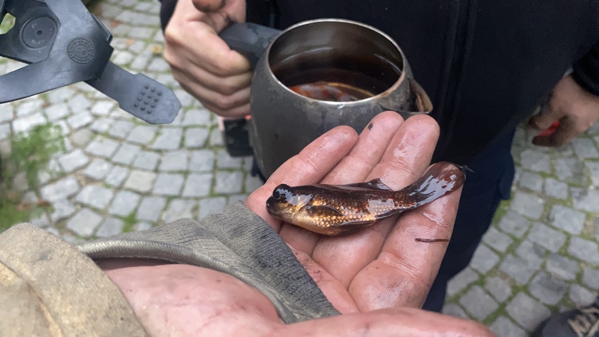 Bursa&rsquo;da ev yangını: İtfaiyenin hızlı m&uuml;dahalesiyle akvaryumdaki balıklar kurtarıldı
