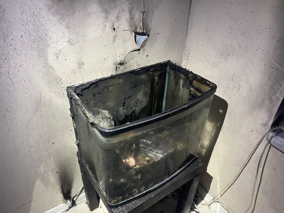 Bursa&rsquo;da ev yangını: İtfaiyenin hızlı m&uuml;dahalesiyle akvaryumdaki balıklar kurtarıldı