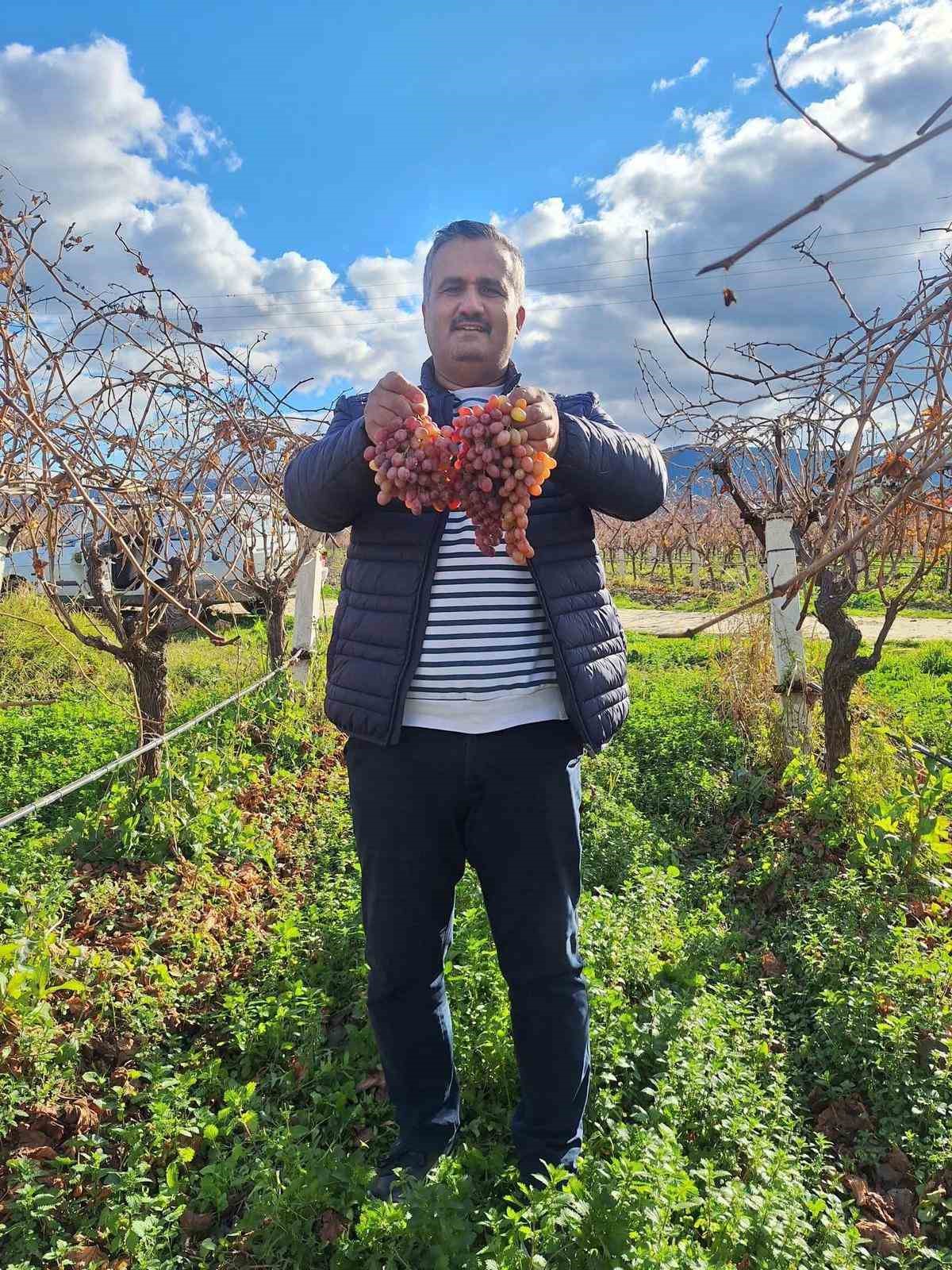 Soğuğa dayanıklı kazancı y&uuml;ksek
