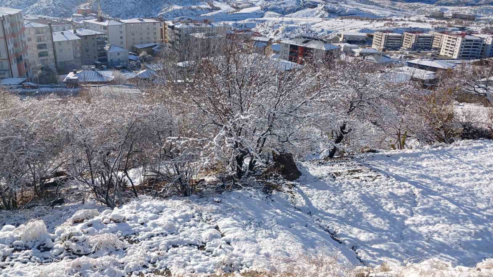 Kulp beyaza b&uuml;r&uuml;nd&uuml;
