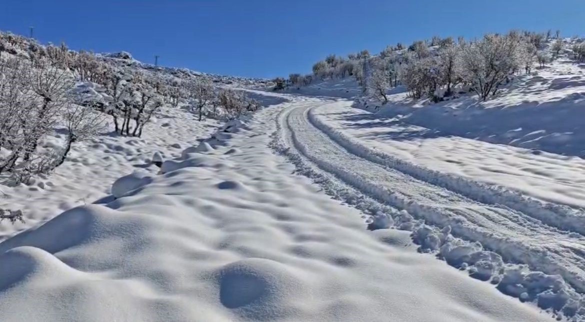 Siirt&rsquo;te okullar yarım g&uuml;n tatil edildi
