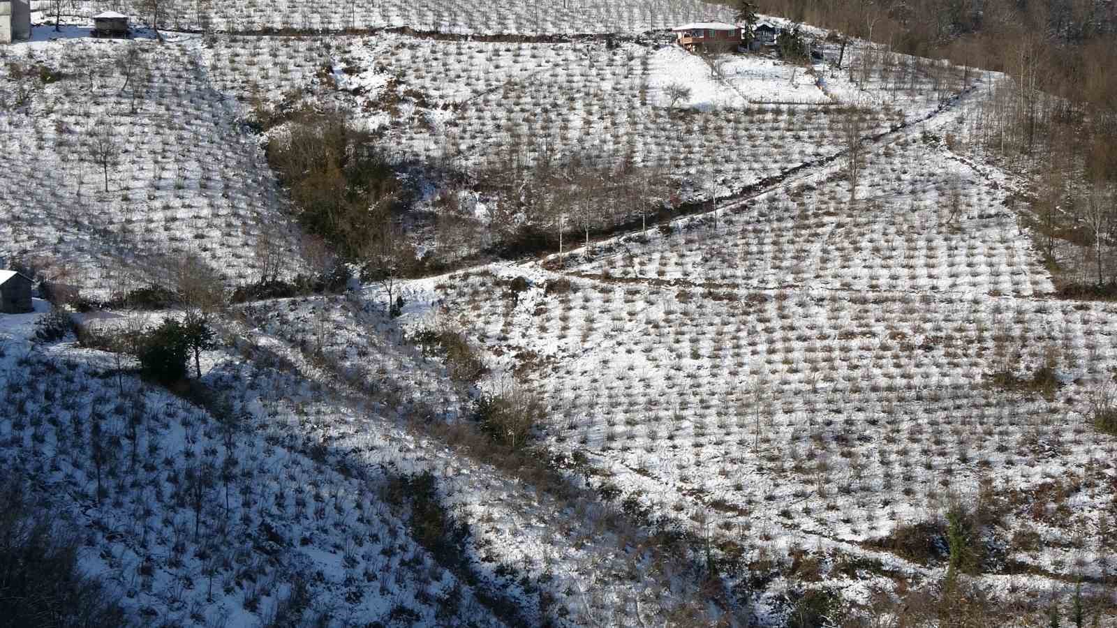Karadeniz&rsquo;deki kar yağışı, fındık ve diğer tarım &uuml;r&uuml;nlerine yaradı
