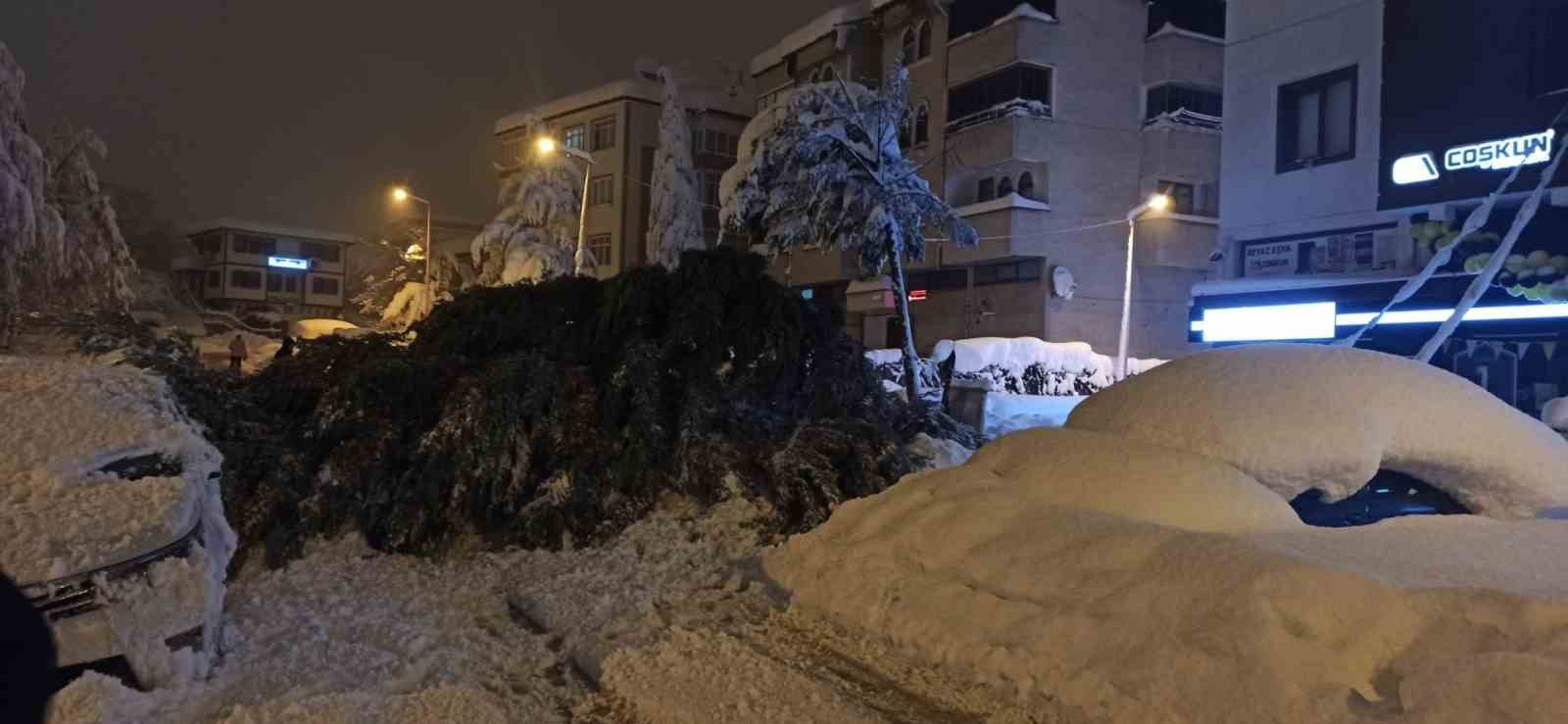 &Ccedil;am ağacı park halindeki iki aracın &uuml;zerine devrildi
