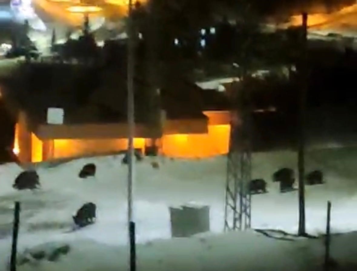 İl&ccedil;e merkezine inen domuz s&uuml;r&uuml;s&uuml; kamerada
