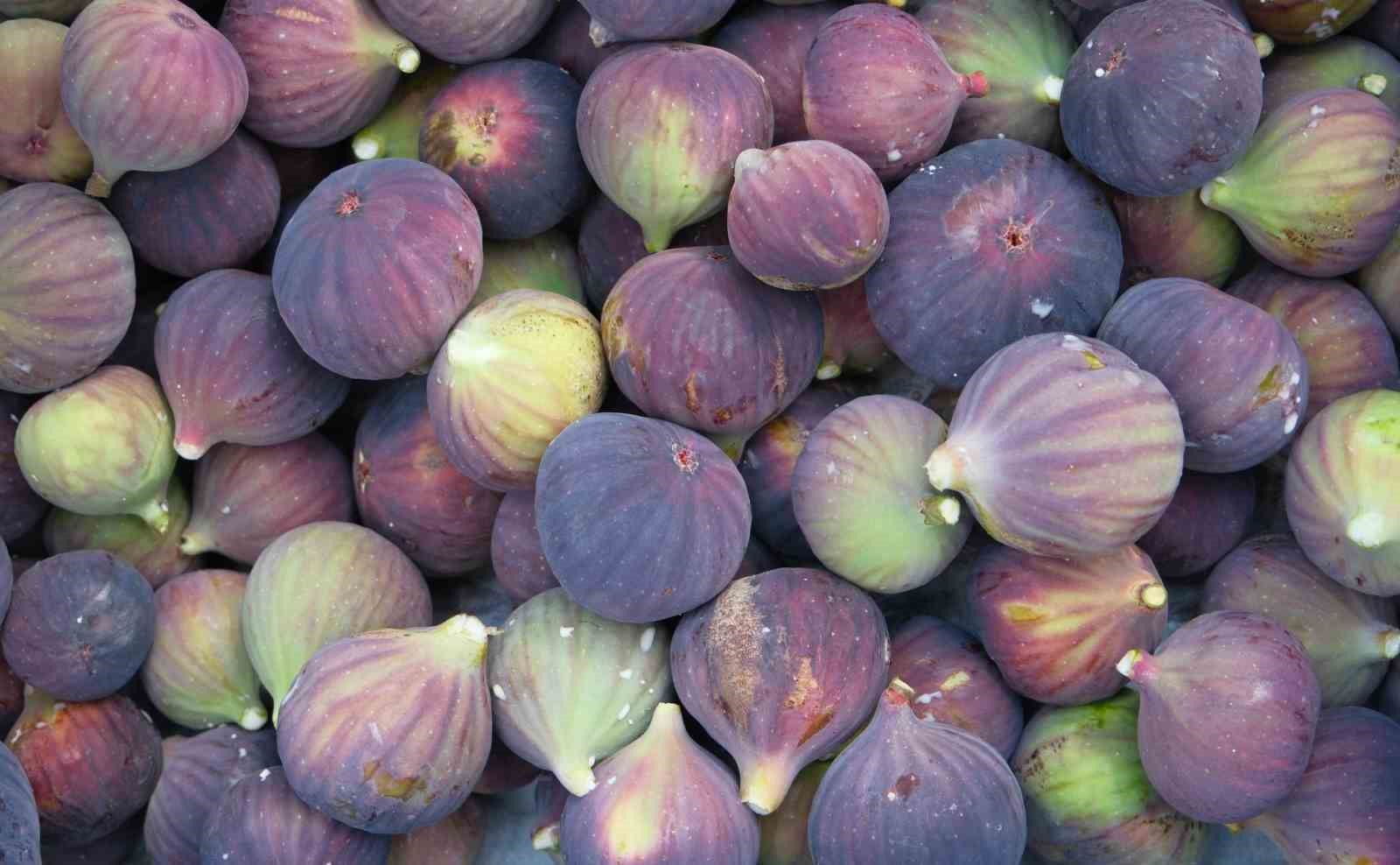 Her 4 kişiden 2&rsquo;si biliyordu şimdi 4 kişiden 3&rsquo;&uuml; biliyor
