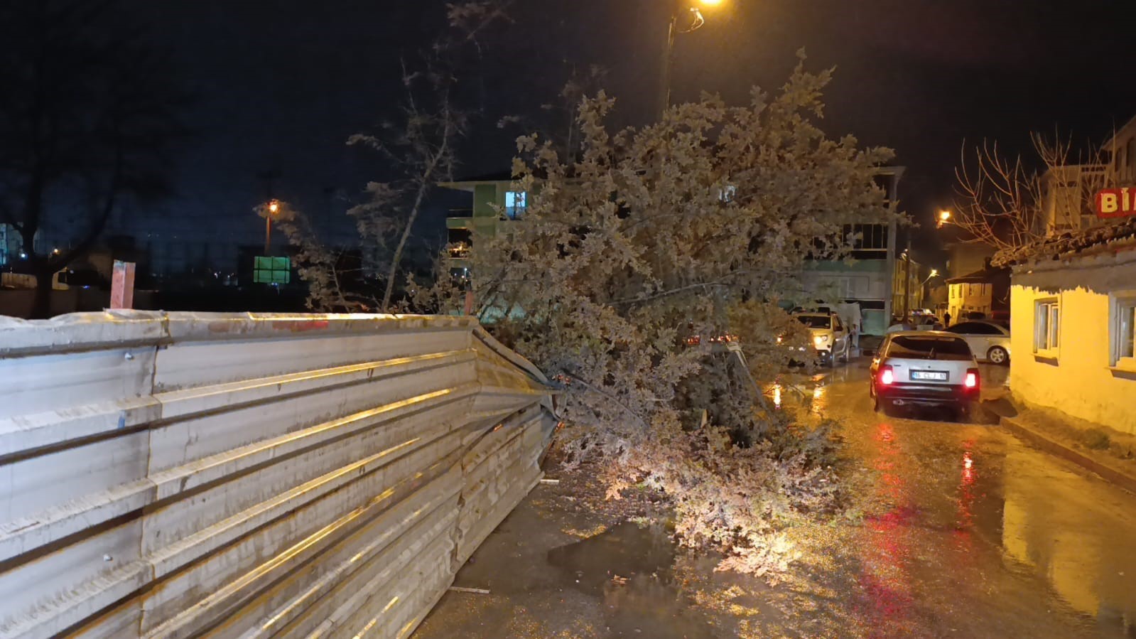 İneg&ouml;l&rsquo;de r&uuml;zgarın etkisiyle ağa&ccedil; devrildi
