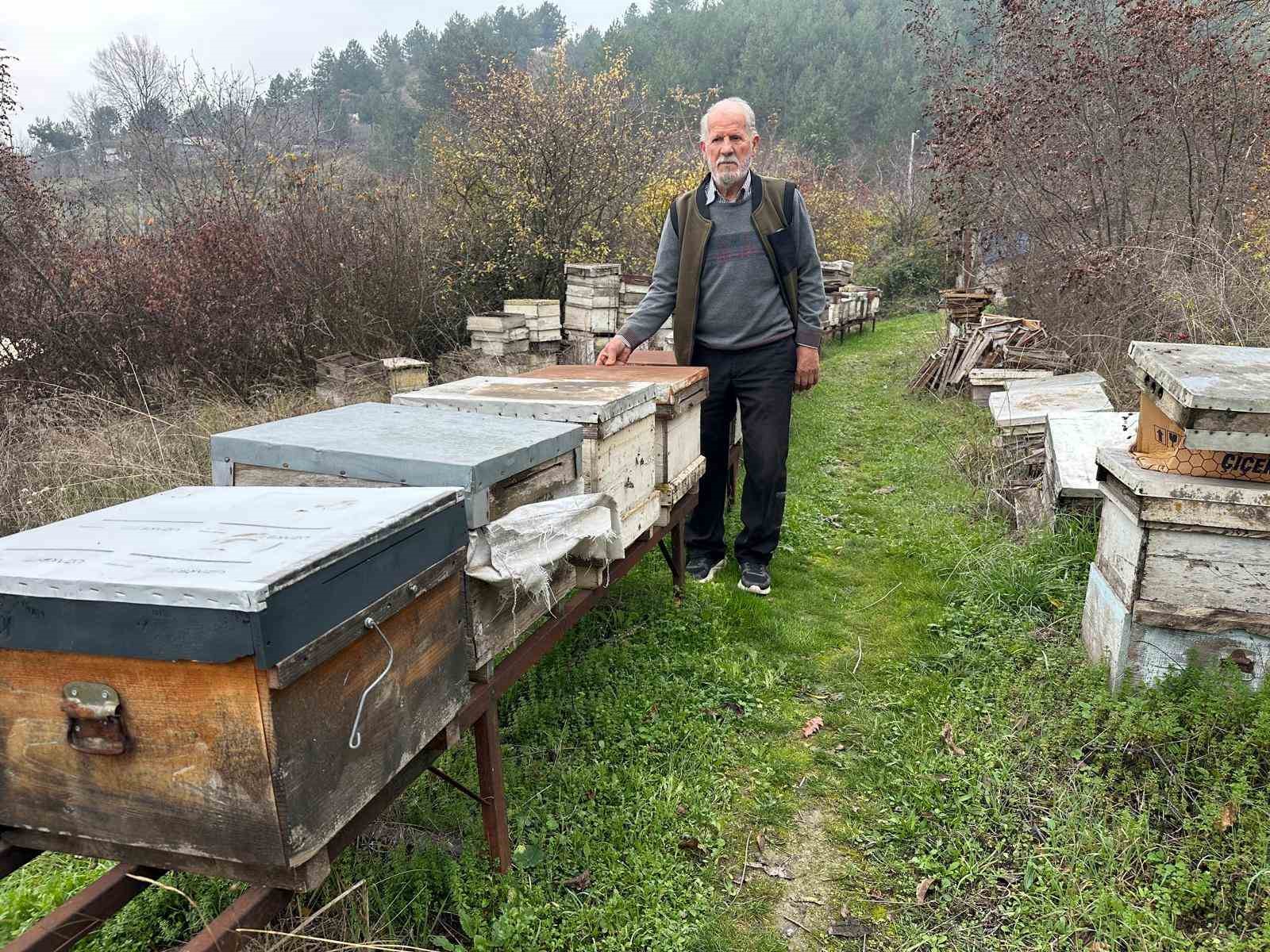 Zirai ila&ccedil; y&uuml;z&uuml;nden milyonlarca arısı kovana d&ouml;nemeden &ouml;ld&uuml;
