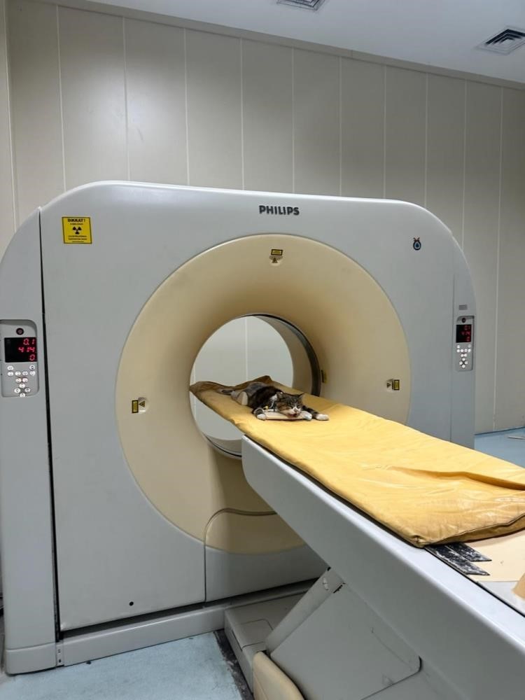 OM&Uuml; Hayvan Hastanesi 2025&rsquo;te 30 bin 842 hastaya hizmet verdi
