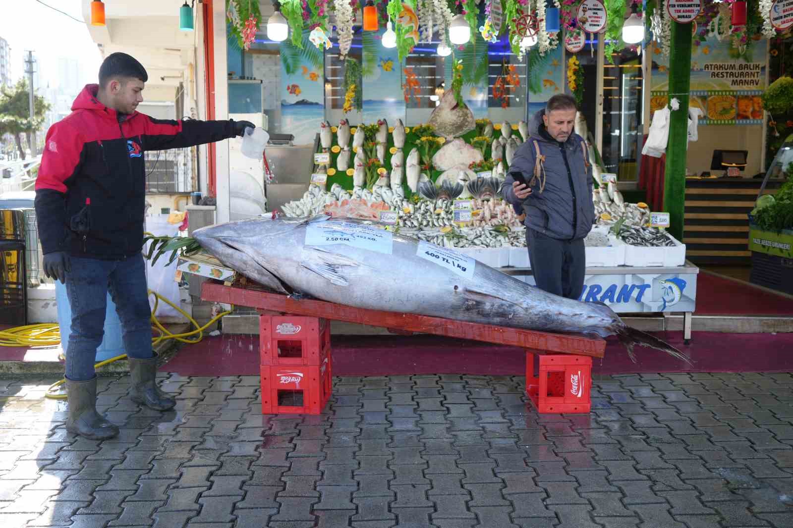 Karadeniz&rsquo;de avlanan 353 kiloluk dev orkinos ilgi odağı oldu
