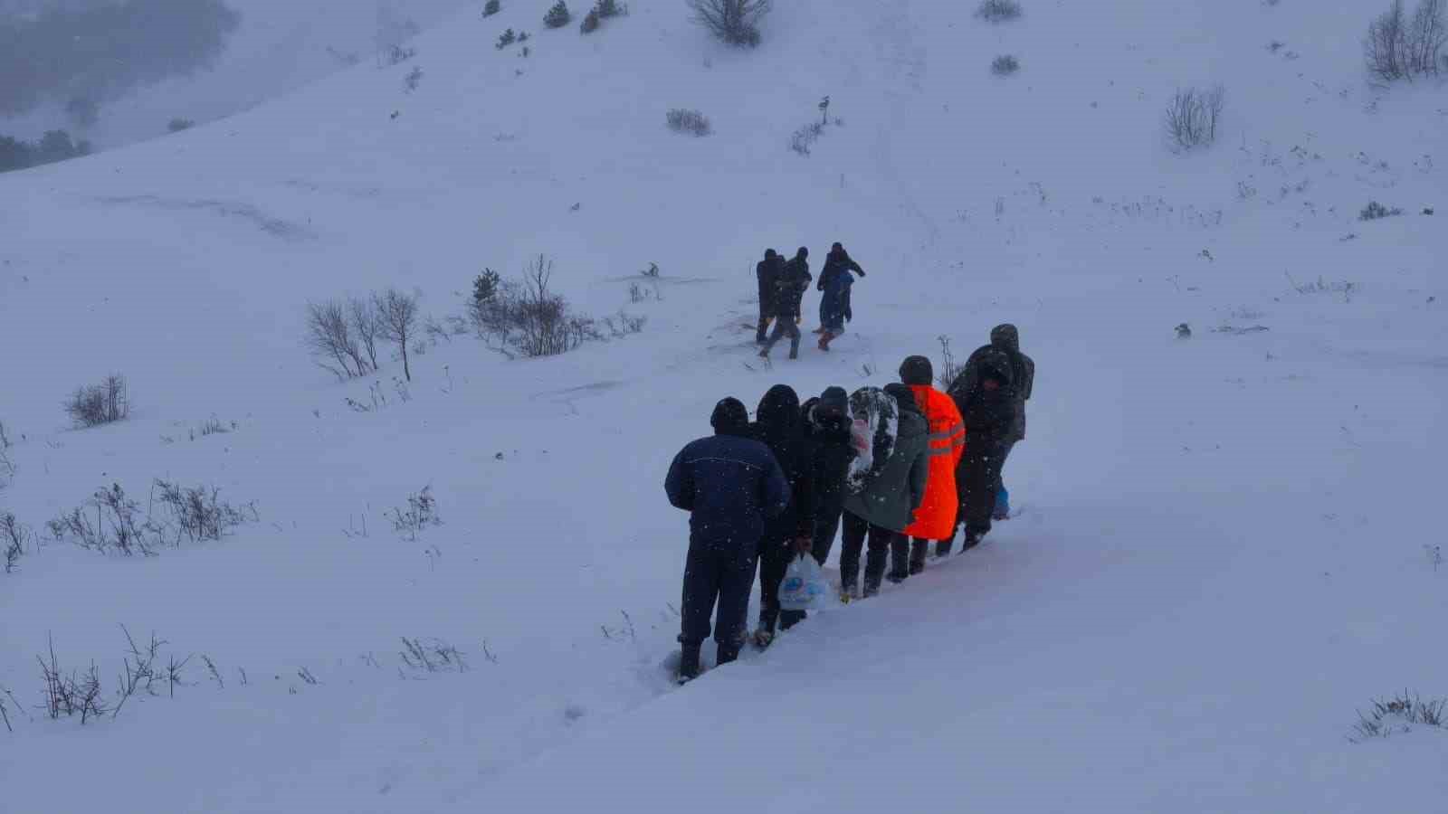 Artvin&rsquo;de &ccedil;ığ altında kalan &ccedil;obanları arama &ccedil;alışmaları s&uuml;r&uuml;yor