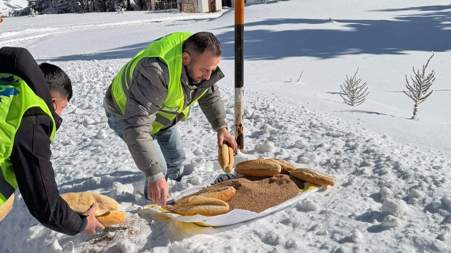 Yaban hayvanları i&ccedil;in ormana yem bıraktılar
