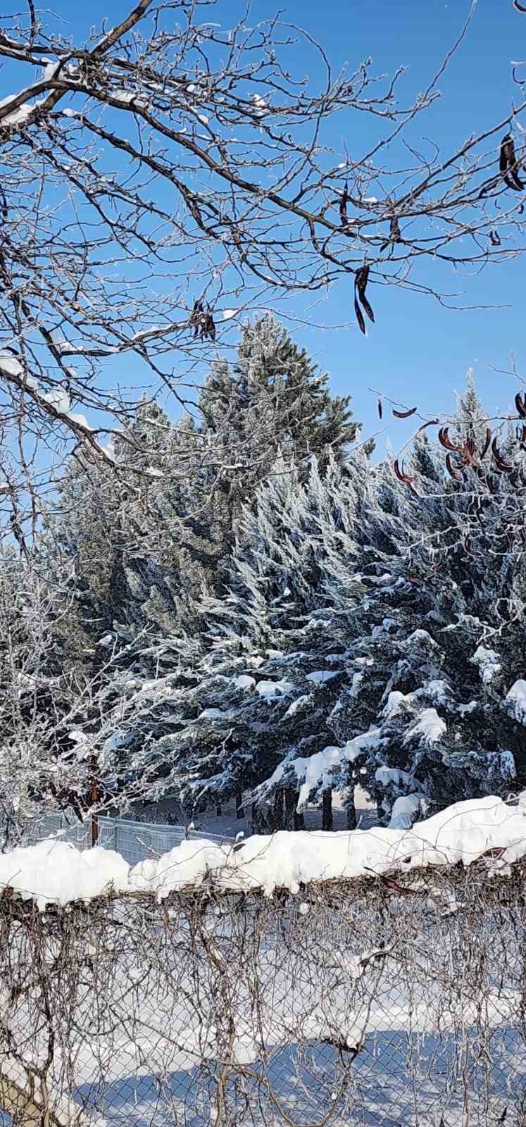 Elazığ&rsquo;da dondurucu soğuklar: Karako&ccedil;an&rsquo;da termometreler -22&rsquo;yi g&ouml;sterdi
