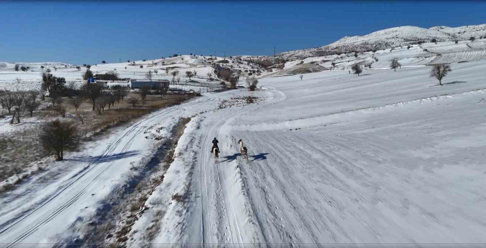Ankara’da sıra dışı yaşam: Onlarca hayvanla ortak hayat kurdu
