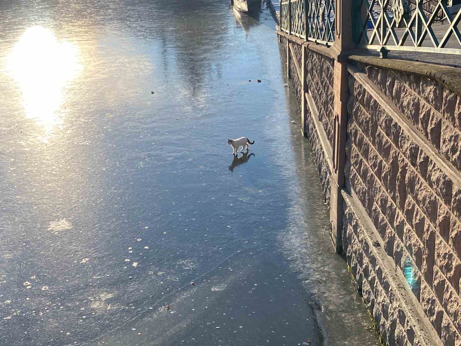 Porsuk &Ccedil;ayı&rsquo;nın buz tutan y&uuml;zeyi &ccedil;&ouml;ple kaplanmaya başladı
