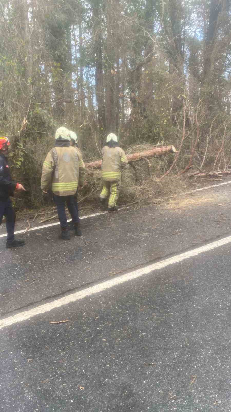 İstanbul i&ccedil;in lodos uyarısı: Kuvvetli fırtına etkili olacak
