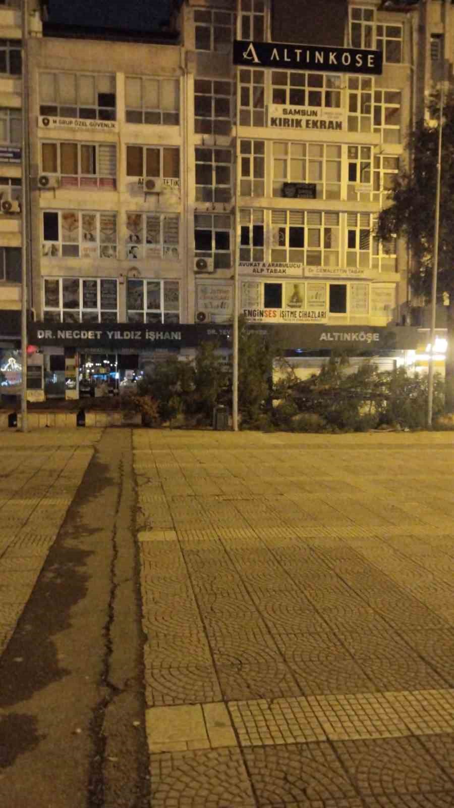 Samsun&rsquo;da fırtına ağa&ccedil; devirdi
