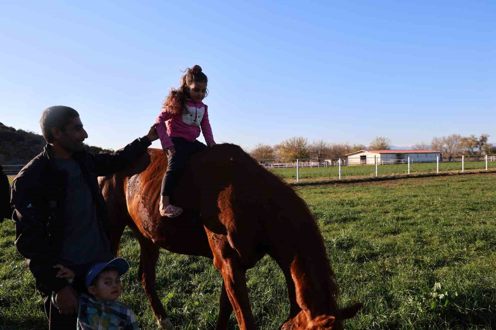 Adana milyonluk İngiliz ve Arap atlarının yetişme alanı oldu
