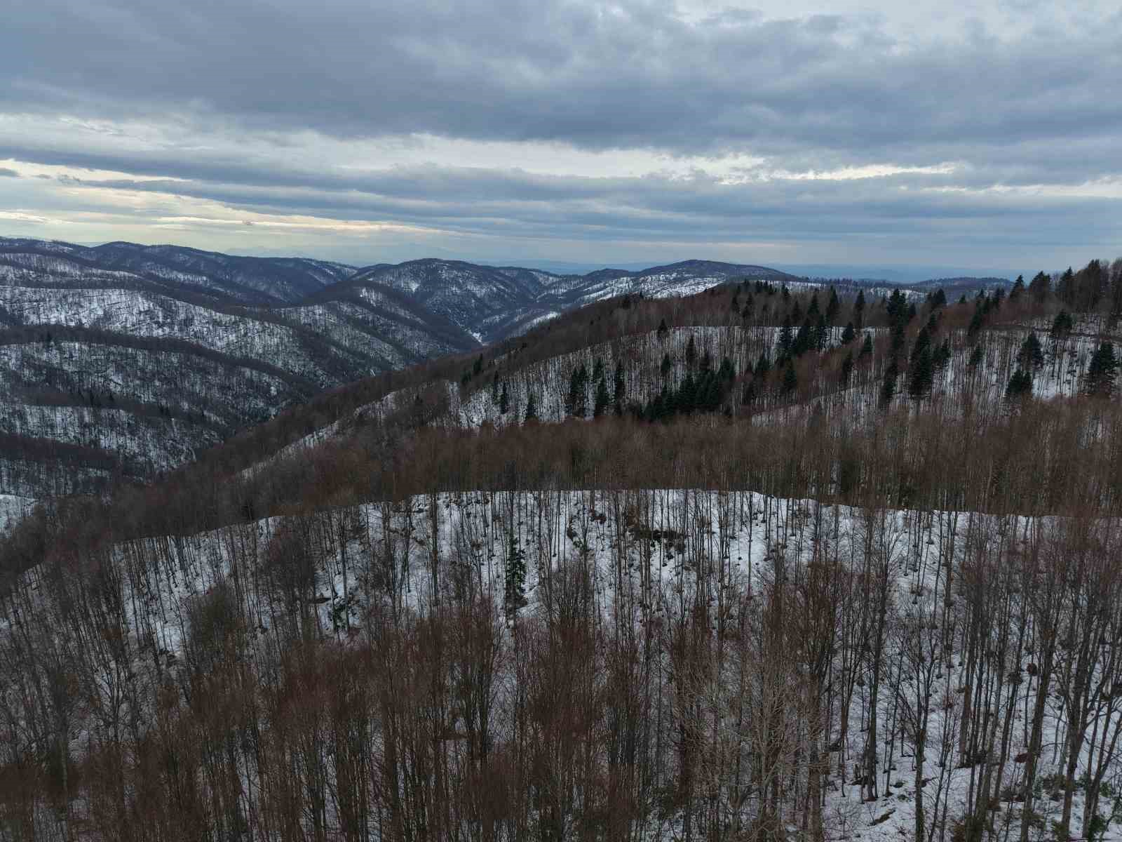 Karla kaplanan 900 rakımlı &Ccedil;am Dağı, kartpostallık g&ouml;r&uuml;nt&uuml;ler sundu

