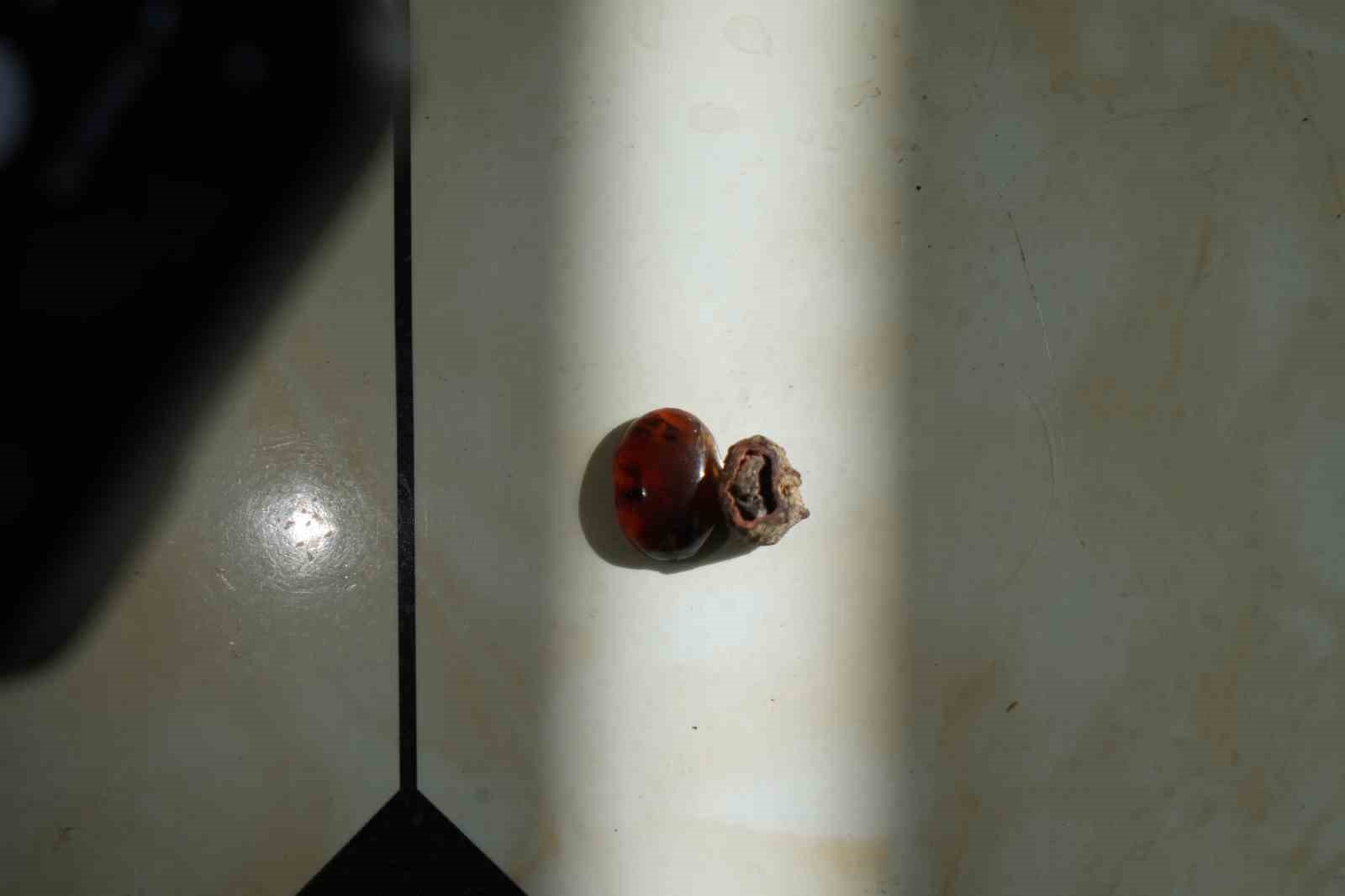 Bayburtlu kehribar ustası işlediği taşta milyonlarca yıllık b&ouml;cek fosili buldu
