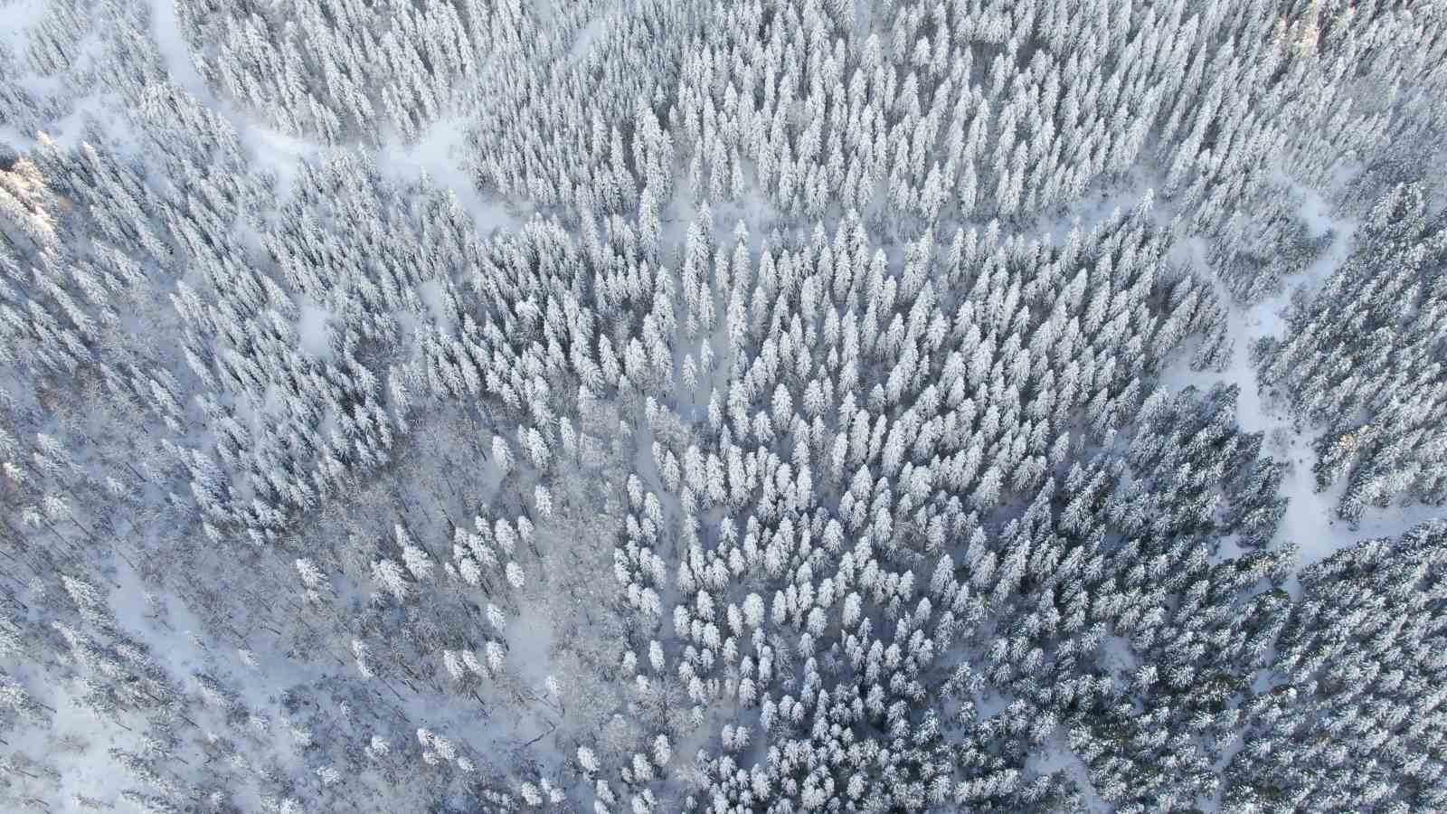 Bin 250 rakımlı Yaralıg&ouml;z Dağı&rsquo;nda muhteşem kar manzarası
