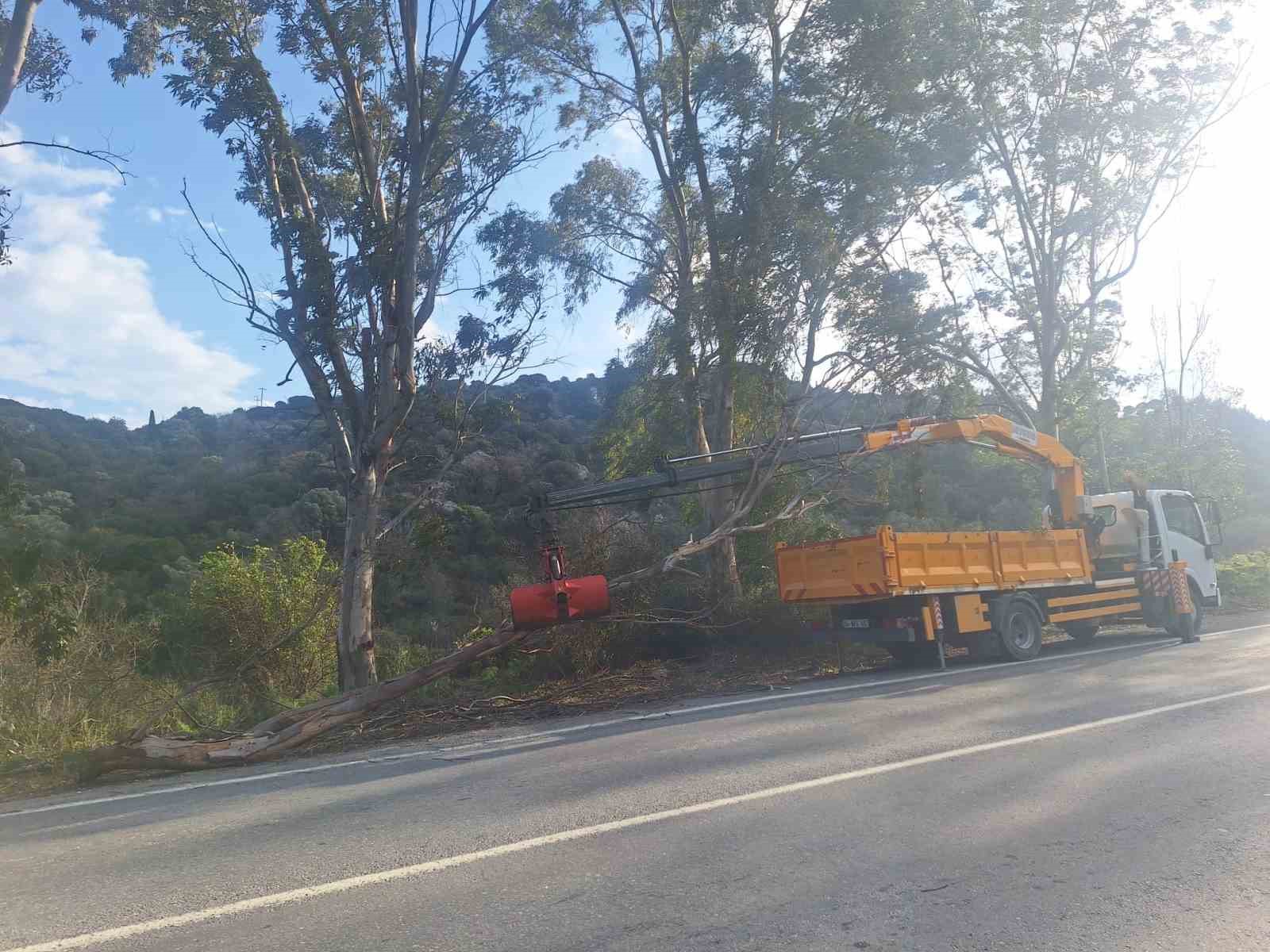 Bodrum&rsquo;da fırtına ağa&ccedil;ları devirdi
