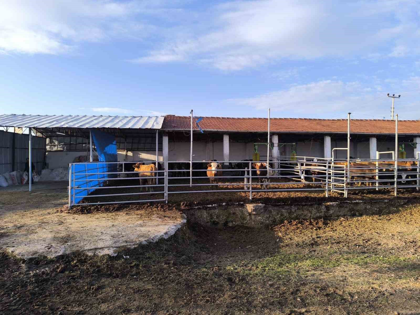 K&uuml;tahya&rsquo;da hayvancılık işletmelerine y&ouml;nelik kapasite tespiti s&uuml;r&uuml;yor
