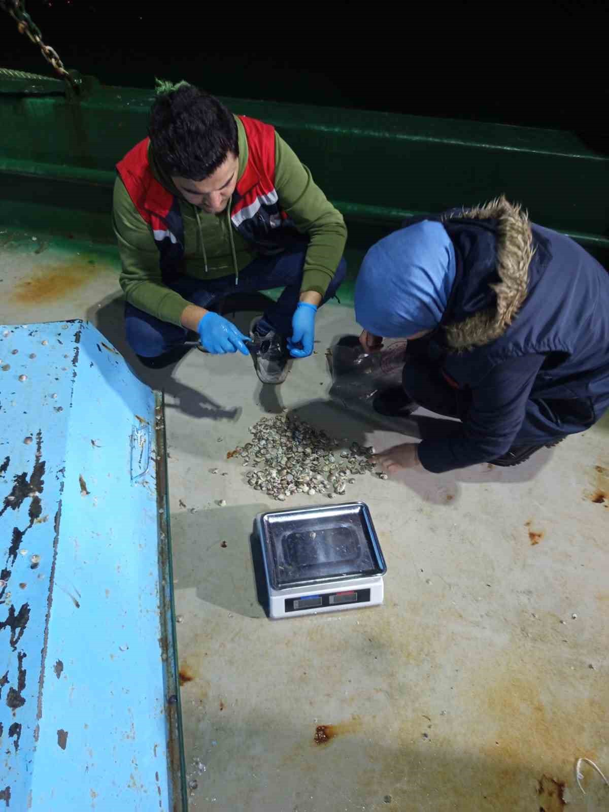 Kastamonu&rsquo;da beyaz kum midyesi avcılığına y&ouml;nelik denetimler s&uuml;r&uuml;yor
