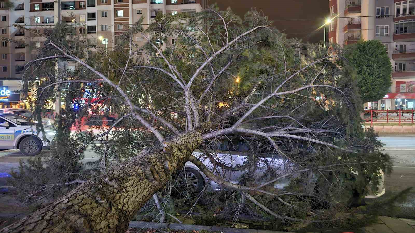 Kayseri&rsquo;de kuvvetli r&uuml;zgar: Ağa&ccedil; otomobilin &uuml;zerine devrildi
