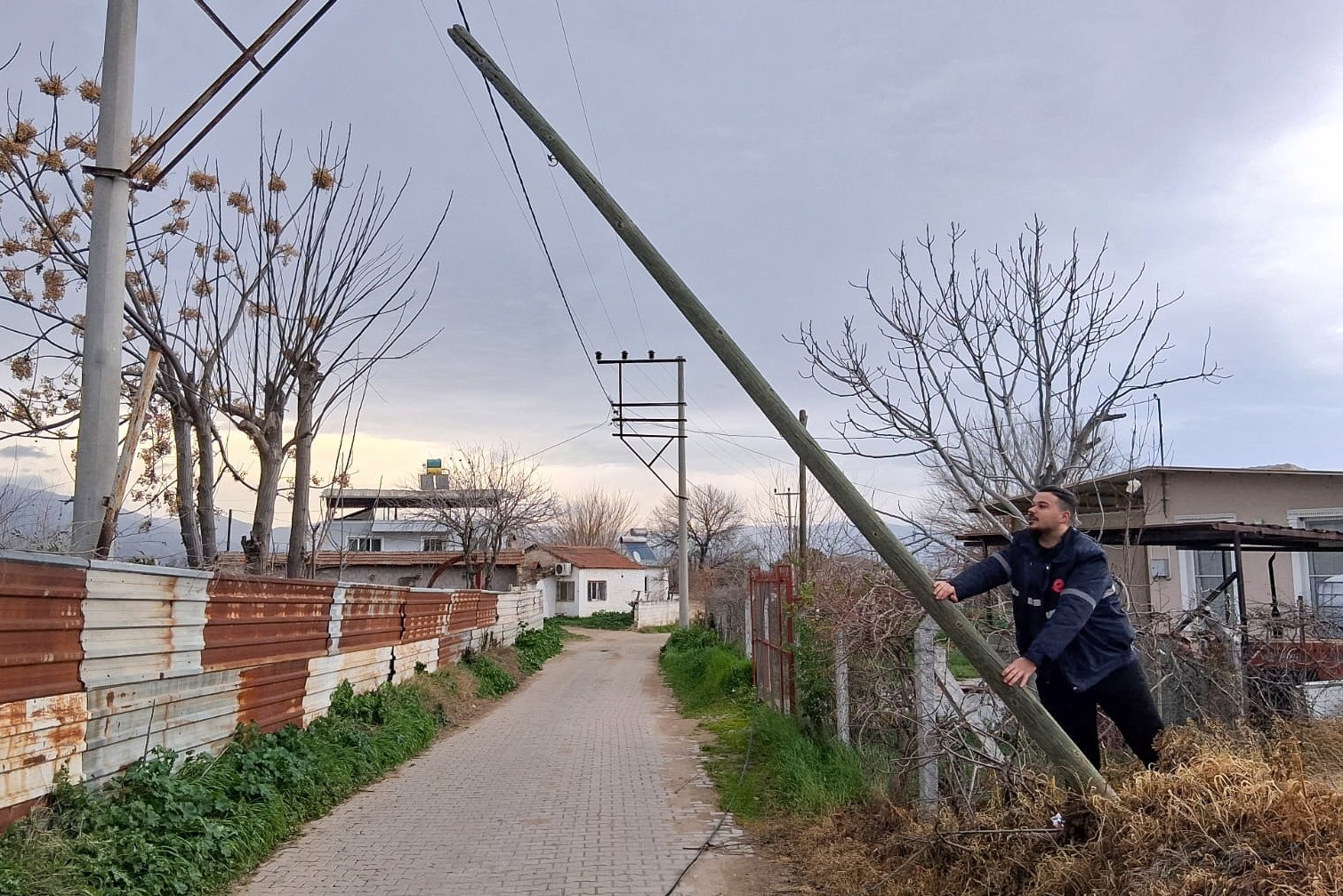 Fırtına &ccedil;am ağacını devirdi
