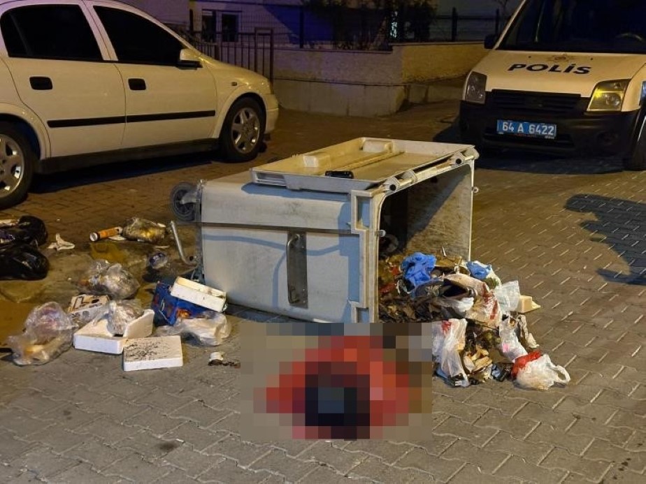 &Ccedil;&ouml;p konteynerinde yeni doğmuş bebek cesedi bulundu