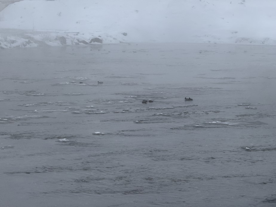 Yakutistan değil Sivas: Termometreler eksi 22 dereceyi g&ouml;sterdi, şehirde hayat dondu