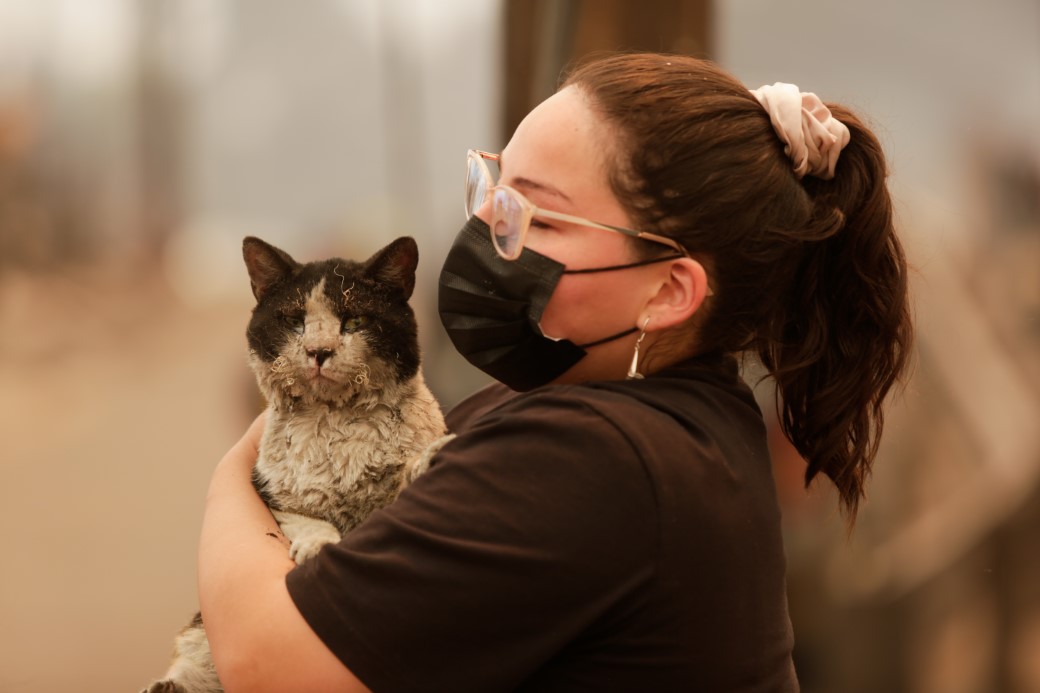 Şili&rsquo;de orman yangını: 18 &ouml;l&uuml;