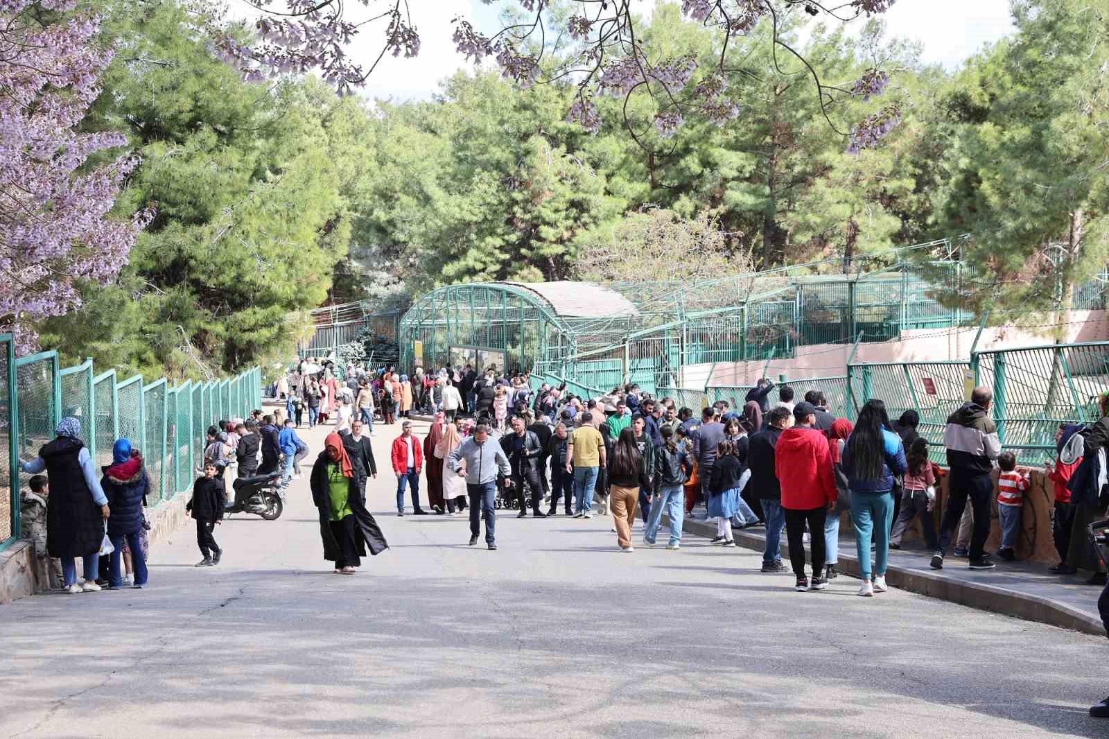 T&uuml;rkiye&rsquo;nin en b&uuml;y&uuml;k hayvanat bah&ccedil;esi 2025&rsquo;te ziyaret&ccedil;i rekoru kırdı
