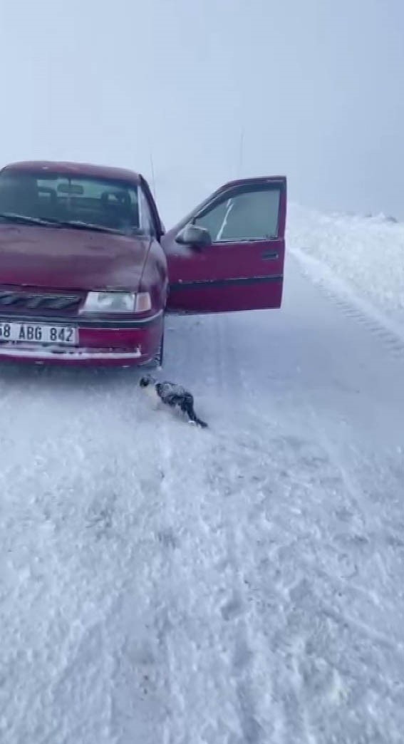 Donmak &uuml;zere olan yavru kediyi kurtardı, davranışı ile takdir topladı
