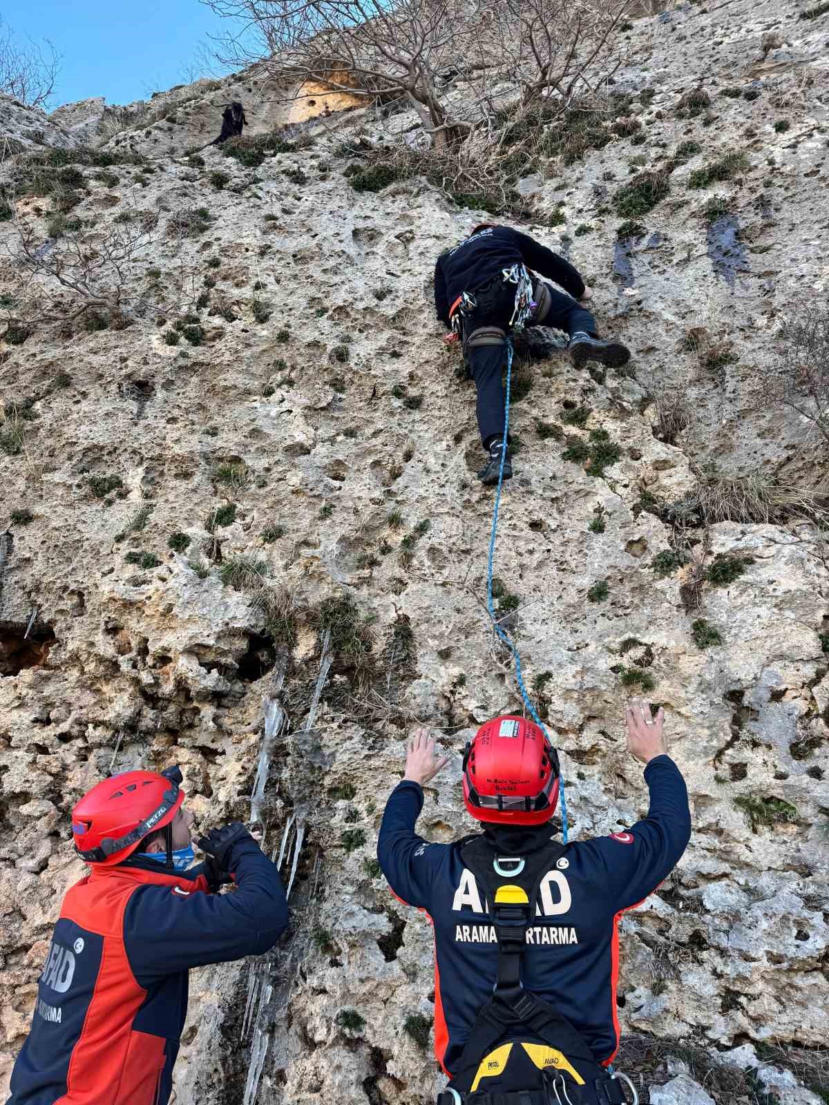 Mardin&rsquo;de dağda mahsur kalan ke&ccedil;iyi AFAD ekipleri kurtardı
