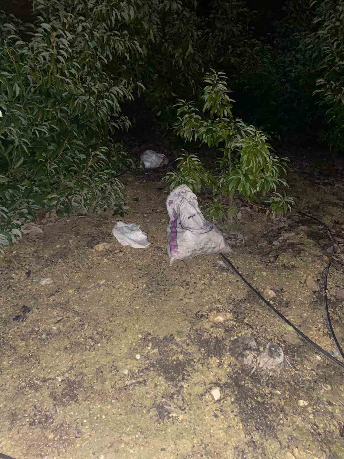 Jandarmayı g&ouml;r&uuml;nce &ccedil;aldıkları avokadoları bırakıp ka&ccedil;tılar
