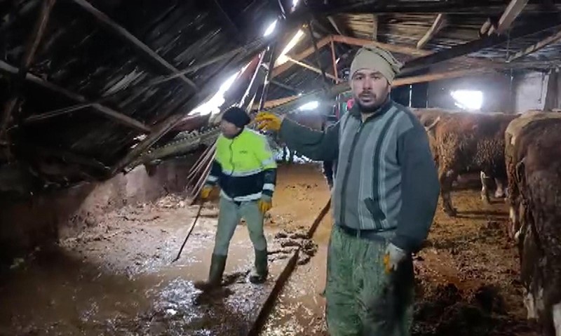 Sivas&rsquo;ta ahır &ccedil;&ouml;kt&uuml;, o anlar g&uuml;venlik kamerasına yansıdı