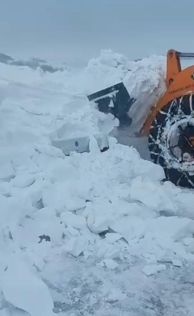 Hayvanlar a&ccedil; kalmasın diye &ccedil;ıktığı yolda &ouml;l&uuml;mden d&ouml;nd&uuml;
