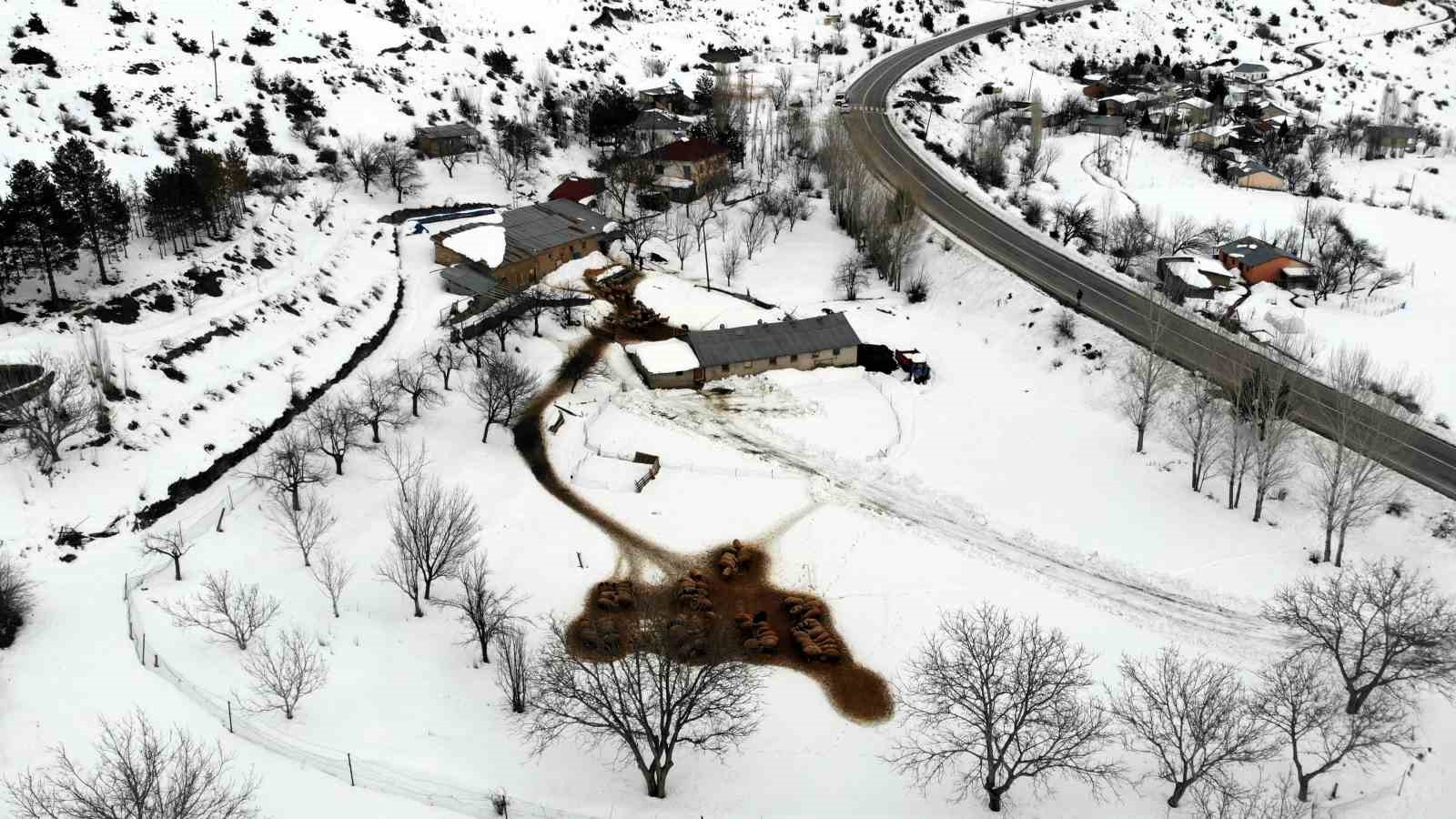 Besiciler uykusuz, kuzular g&uuml;vende
