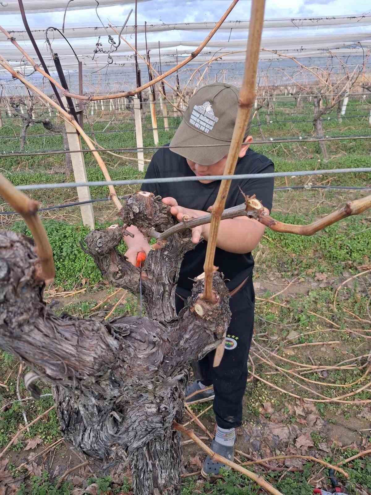 Yağmur bitti, &ccedil;ift&ccedil;i bağlara koştu
