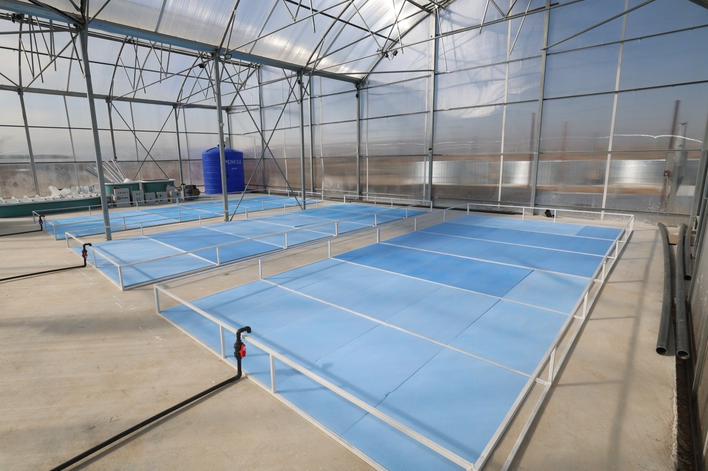 Jeotermal Su desteğiyle Tatlı Su Karidesi ve Balık Yetiştiriciliği Projesinde &uuml;retim başlıyor
