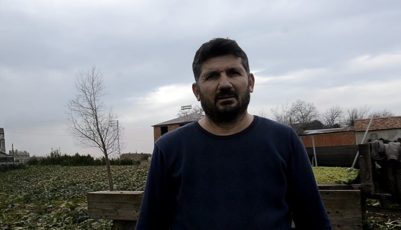 Bafra Ovası&rsquo;nda pırasa hasadı: Bu yıl rekolte y&uuml;ksek
