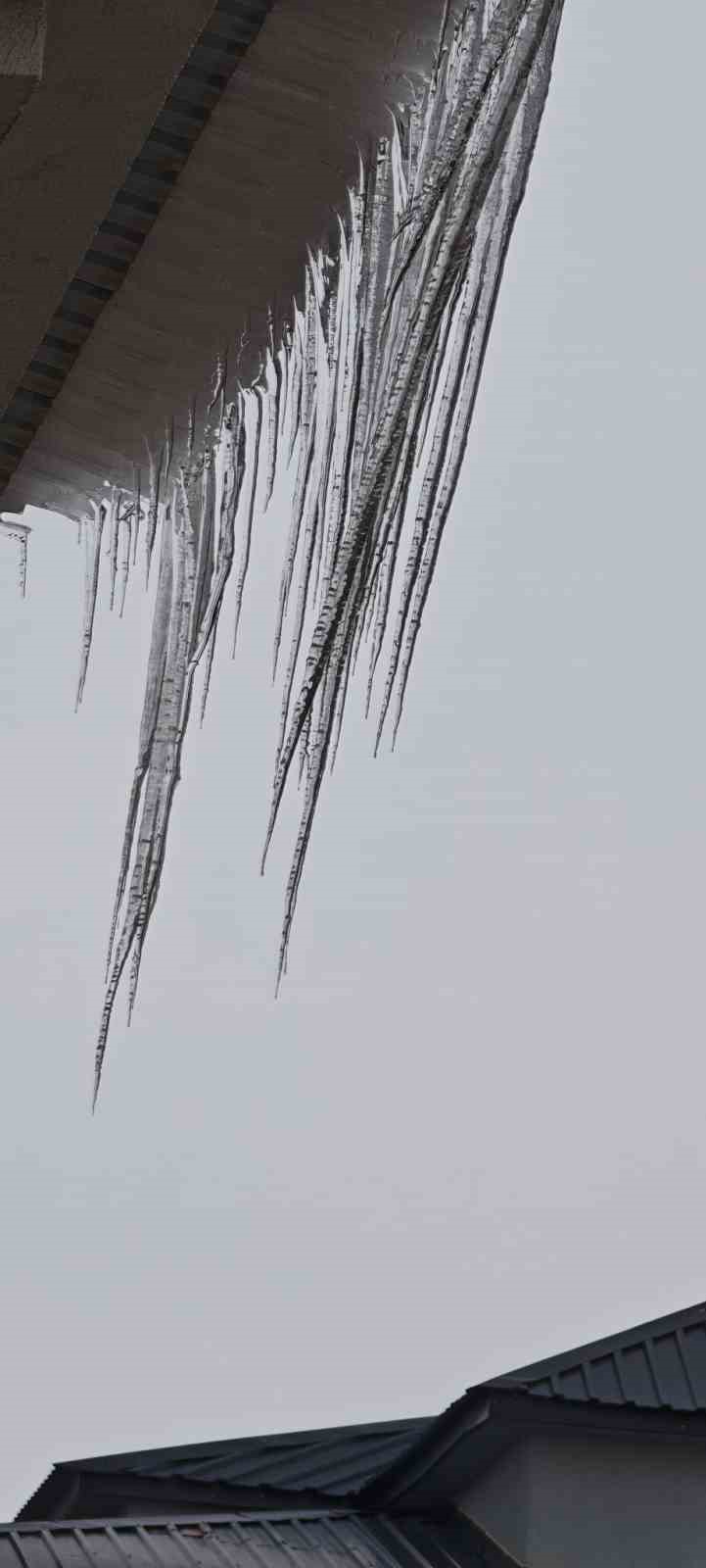 Aşkale&rsquo;de dondurucu soğuklar hayatı fel&ccedil; etti
