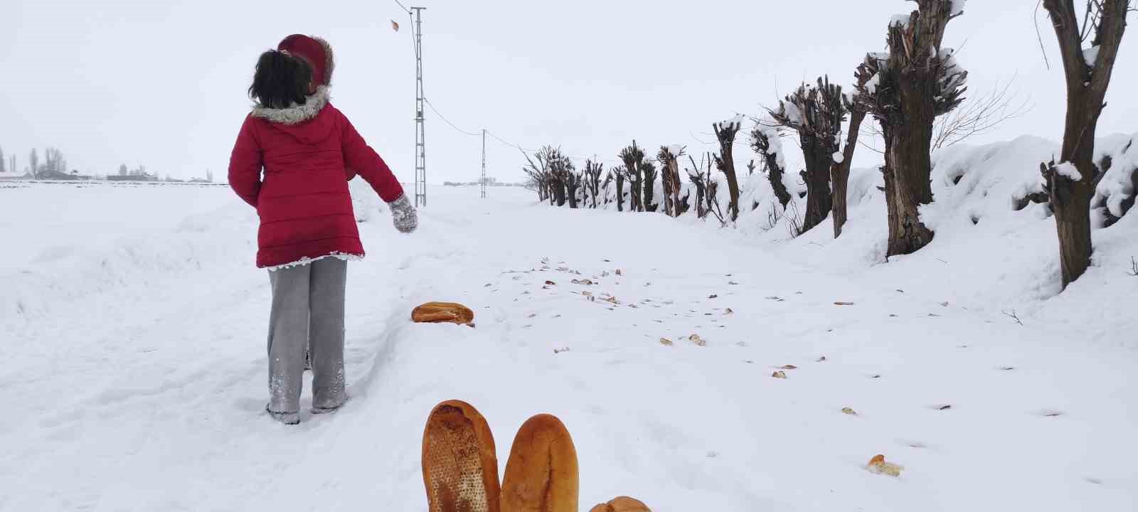 İki kardeşten yaban hayvanlarına şefkat eli
