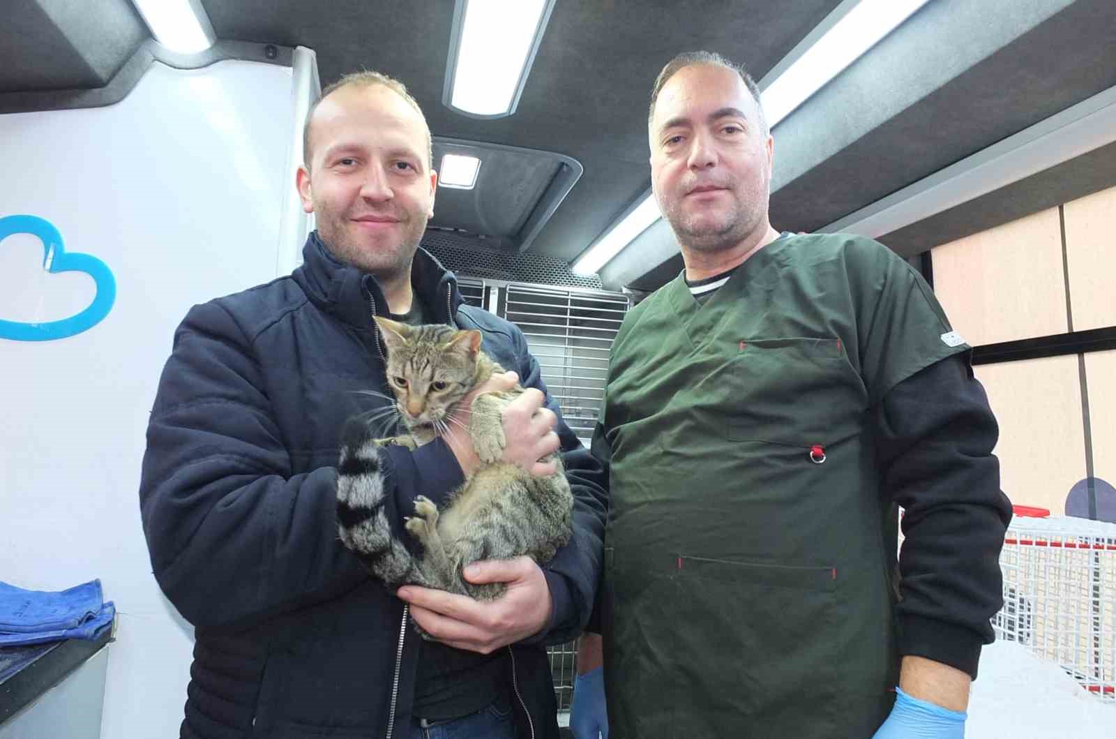 Balıkesir de sokak hayvanlarına &uuml;cretsiz tedavi desteği
