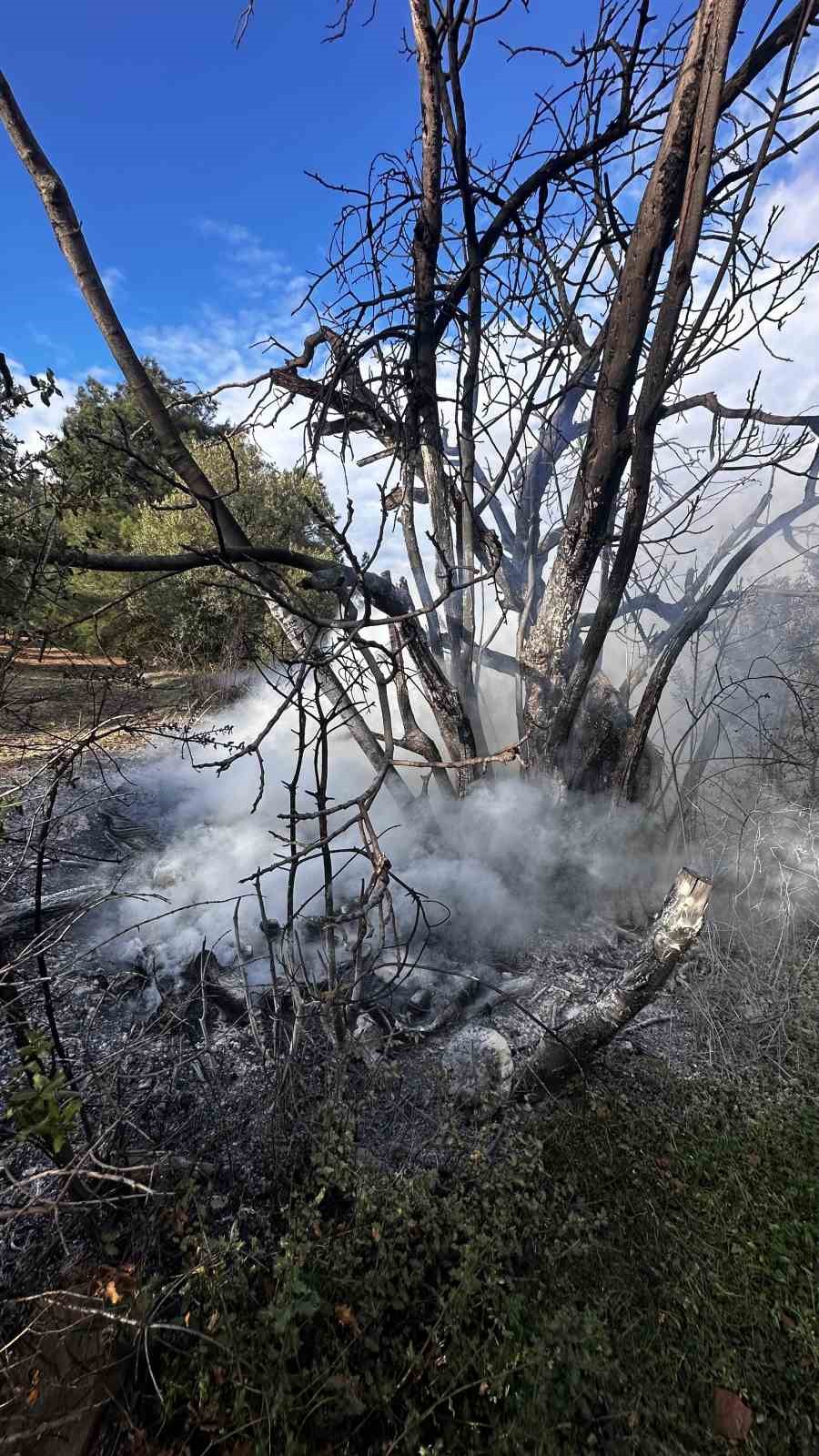 Bursa’da çıkan çalı yangını büyümeden söndürüldü
