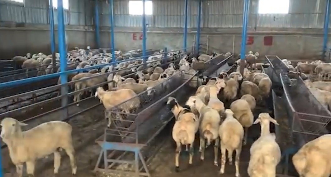 Sahte banka dekontlarıyla 14 milyon TL&rsquo;lik vurgun
