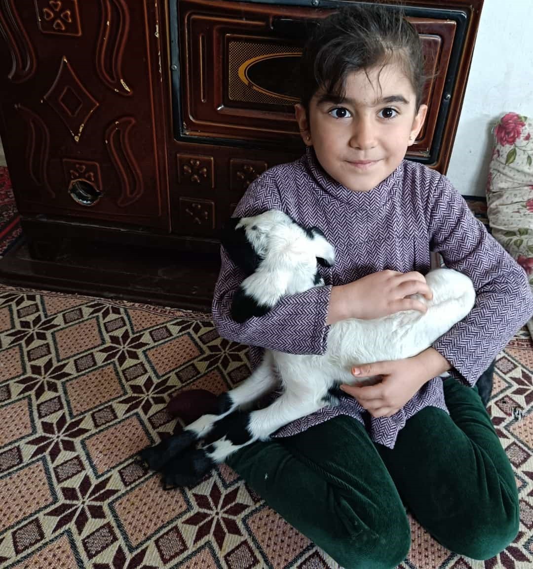 Soğuk hava kuzuları eve taşıdı: Elazığ&rsquo;da yeni doğan kuzular biberonla besleniyor
