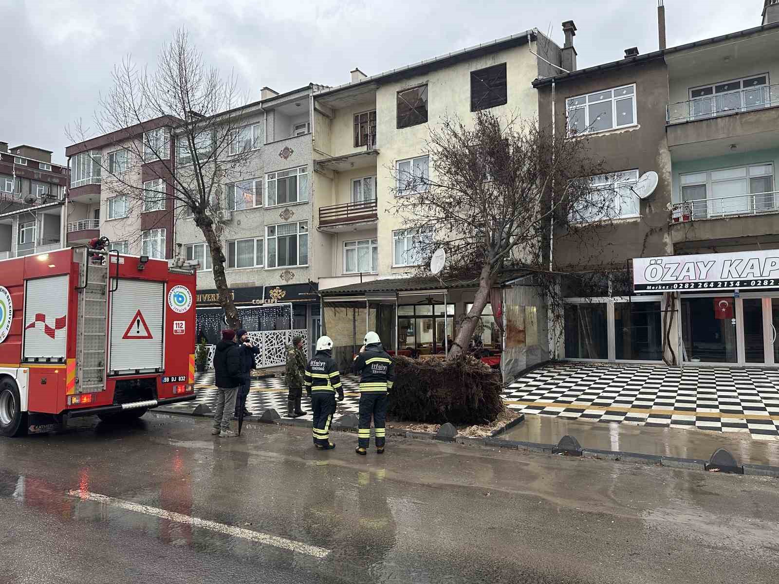 Muratlı&rsquo;da ağa&ccedil; kahvehanenin &ccedil;atısına devrildi
